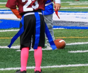Small Sports Federations